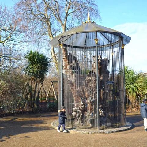 女巫BUFF流搭配攻略,宝藏乱斗必备! 女巫BUFF流搭配攻略,宝藏乱斗必备!