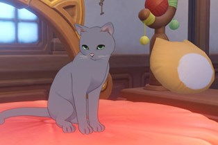 原神4.5茸茸城堡攻略,快速满奖励! 原神4.5茸茸城堡攻略,快速满奖励!