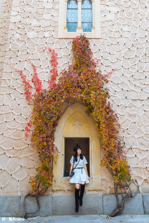 原神茸茸城堡搭配攻略：雪糕哪不能摸？家具搭配技巧揭秘