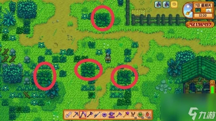 星露谷物语绿雨事件揭秘：破解神秘难题