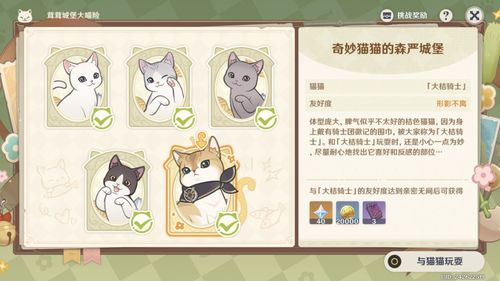 原神茸茸城堡大喵攻略，快速通关技巧揭秘