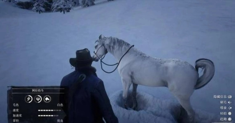 《荒野大镖客2》阿拉伯白马抓取攻略 《荒野大镖客2》阿拉伯白马抓取攻略