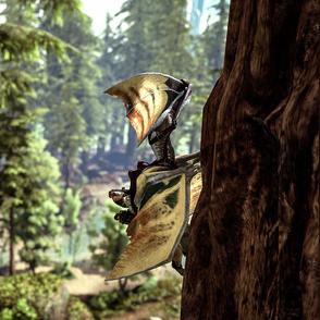 方舟庭院大房子建造攻略，快速搭建指南