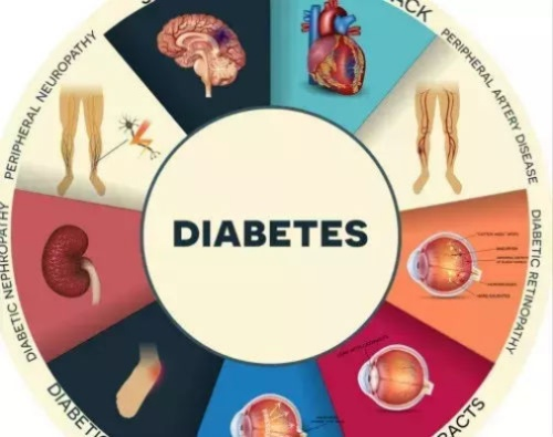 《Islets》揭秘:糖尿病新疗法,逆转血糖难题 《Islets》揭秘:糖尿病新疗法,逆转血糖难题