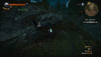 巫师3全隐藏任务位置速查