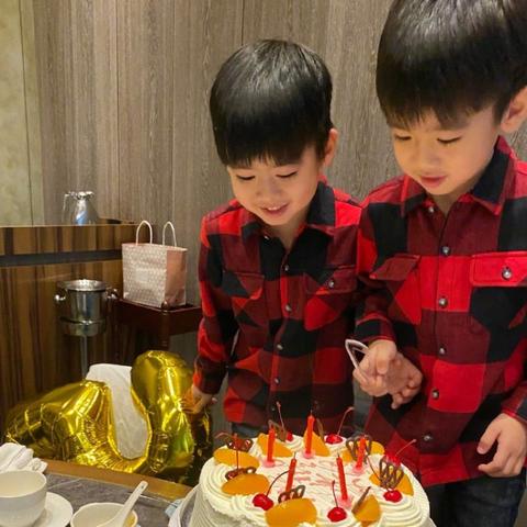 《兄弟双子重制版》玩法揭秘,重燃冒险激情 《兄弟双子重制版》玩法揭秘,重燃冒险激情