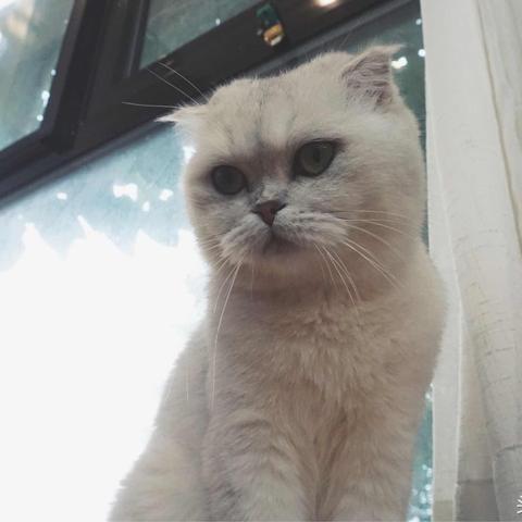 《最终幻想7》摩天轮约会攻略,甜蜜攻略大揭秘! 《最终幻想7》摩天轮约会攻略,甜蜜攻略大揭秘!