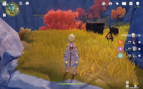 原神奇境谜丘玩法揭秘,解密奇遇! 原神奇境谜丘玩法揭秘,解密奇遇!