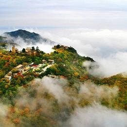 《雾锁王国》全材料获取攻略 《雾锁王国》全材料获取攻略