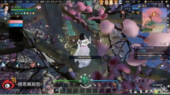 逆水寒天极岛炎冰石坐标速查攻略 逆水寒天极岛炎冰石坐标速查攻略