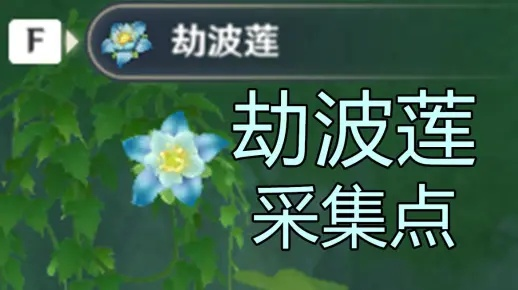 原神劫波莲位置速查，采集路线攻略！