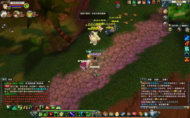 唤冬兽攻略：高效打法揭秘