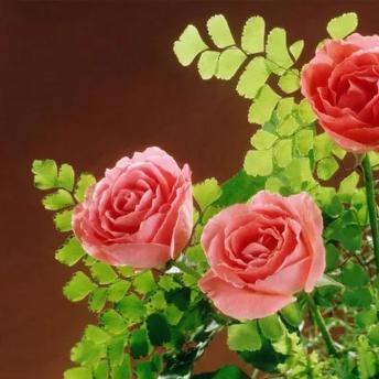 《世界之外》四男主结局攻略揭秘 《世界之外》四男主结局攻略揭秘