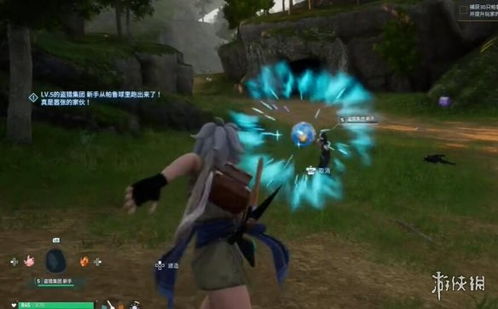 幻兽帕鲁迅雷鸟抓捕攻略，轻松捕捉技巧揭秘