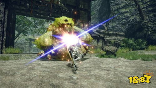 怪物猎人崛起7.0奶笛毕业装配置攻略 怪物猎人崛起7.0奶笛毕业装配置攻略