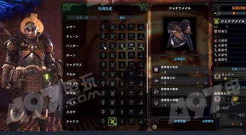 《怪物猎人世界》新手开荒武器推荐,哪种最适合? 《怪物猎人世界》新手开荒武器推荐,哪种最适合?