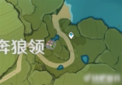 原神嘟嘟莲采集攻略,快速找到最佳路线 原神嘟嘟莲采集攻略,快速找到最佳路线