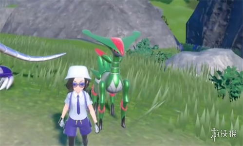 《宝可梦朱紫》波荡水铁斑叶阵容攻略! 《宝可梦朱紫》波荡水铁斑叶阵容攻略!