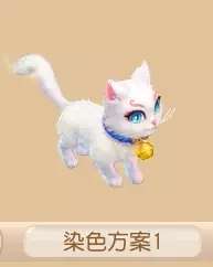 男布偶猫染色方案一览，告别单调！