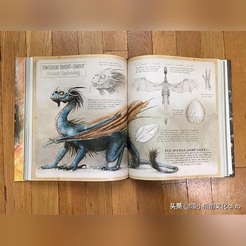 巫师3刷猪羊皮攻略:快速赚钱秘籍 巫师3刷猪羊皮攻略:快速赚钱秘籍