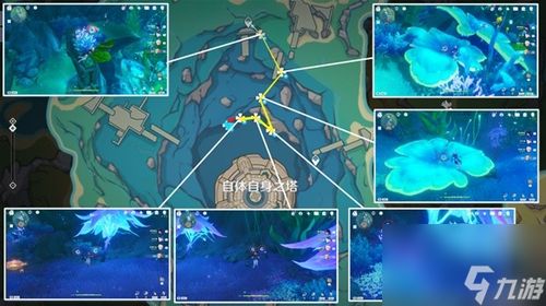 原神初露之源在哪？采集路线速查攻略