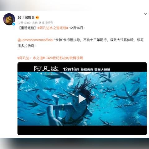 《阿凡达》游戏设置揭秘：如何轻松上手？