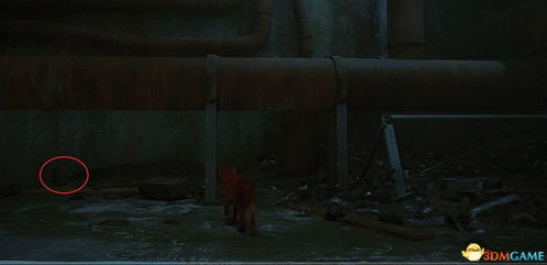 《熔炉密林》试玩揭秘:破解密林困境攻略 《熔炉密林》试玩揭秘:破解密林困境攻略