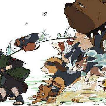 分身流忍者培养攻略:快速提升技巧 分身流忍者培养攻略:快速提升技巧