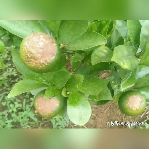 无畏契约微风岛炼狱烟位攻略，新手必看！