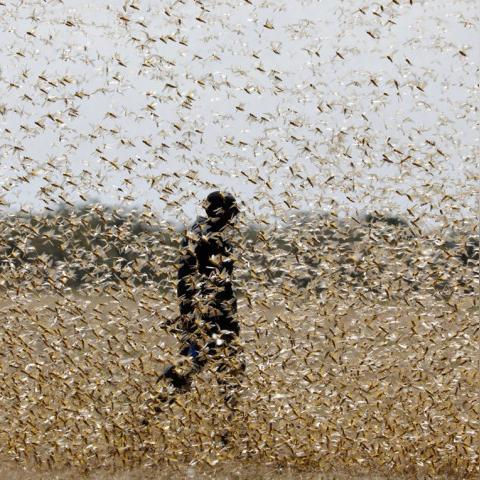 致命公司揭秘：破解企业危机32招