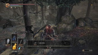 《黑暗之魂3》全BOSS攻略，篝火跑图路线揭秘！