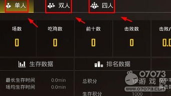 战地2042战绩查询工具推荐，告别战绩查询难题