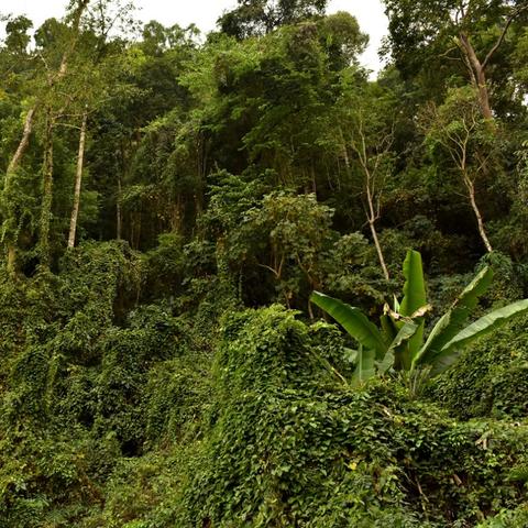 魔兽世界3招轻松破3000分大秘境！