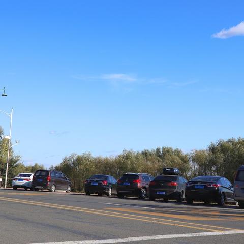 《都市天际线2》禁路边停车攻略,告别违停烦恼 《都市天际线2》禁路边停车攻略,告别违停烦恼