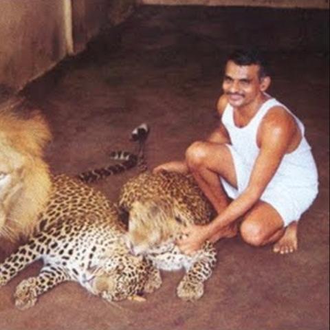 《命运方舟》狩猎时间技巧,如何搭配? 《命运方舟》狩猎时间技巧,如何搭配?