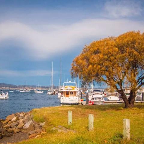 命运方舟农场牧场玩法揭秘:告别资源短缺 命运方舟农场牧场玩法揭秘:告别资源短缺