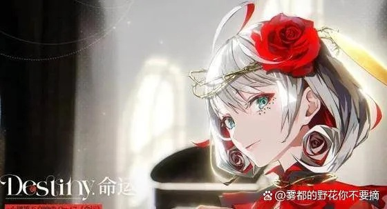 宿命回响角色培养推荐,低星角色怎么用? 宿命回响角色培养推荐,低星角色怎么用?