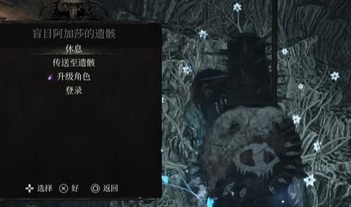 《堕落之主》前期快速刷魂经验攻略 《堕落之主》前期快速刷魂经验攻略