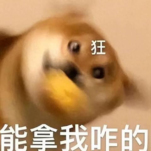 《堕落之主》洗点技巧：如何高效重置属性点？