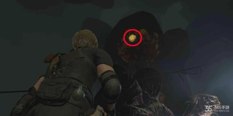 生化4重制版美丽甲虫悬赏攻略，快速通关！