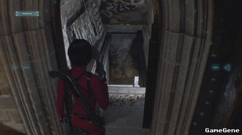 生化4重制版DLC除虫攻略,快速通关技巧揭秘 生化4重制版DLC除虫攻略,快速通关技巧揭秘