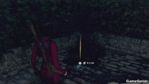 生化4重制版艾达DLC无伤攻略，轻松通关！