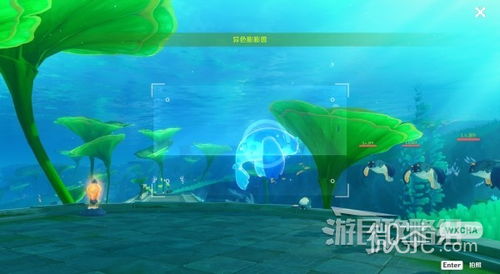 原神4.0水下拍照攻略:揭秘隐藏沉落物位置 原神4.0水下拍照攻略:揭秘隐藏沉落物位置