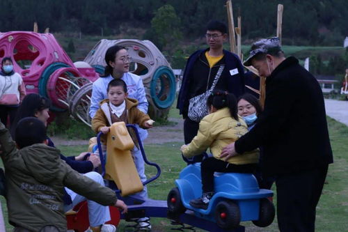 匹诺曹轮椅武器组合,告别行动不便! 匹诺曹轮椅武器组合,告别行动不便!