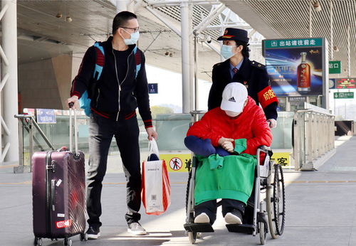 匹诺曹轮椅武器组合,告别行动不便! 匹诺曹轮椅武器组合,告别行动不便!