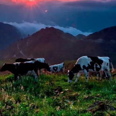 《星空》宝藏号录音全位置揭秘