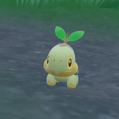 《宝可梦朱紫》神奥御三家蛋获取攻略 《宝可梦朱紫》神奥御三家蛋获取攻略