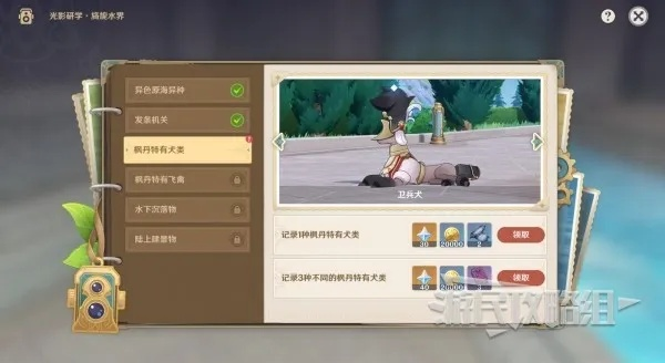 原神4.0光影研学攻略:全关卡满奖拍照位推荐 原神4.0光影研学攻略:全关卡满奖拍照位推荐