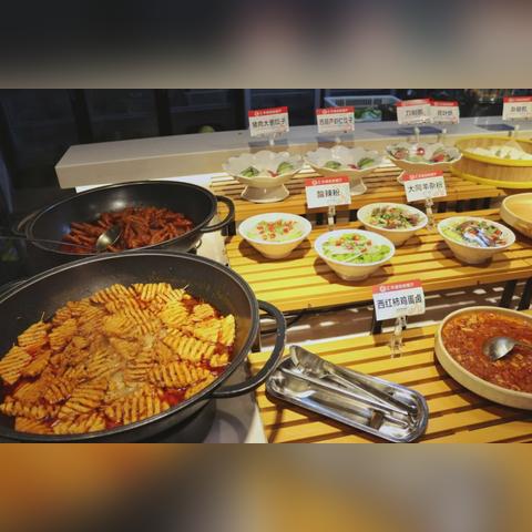 星空技能加点攻略：如何快速提升？