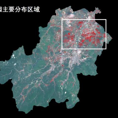 星空无限刷等级教程,快速提升等级攻略 星空无限刷等级教程,快速提升等级攻略